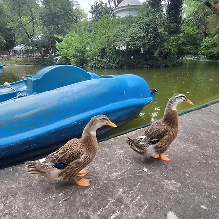 Location Harmony By Hostex Apartman