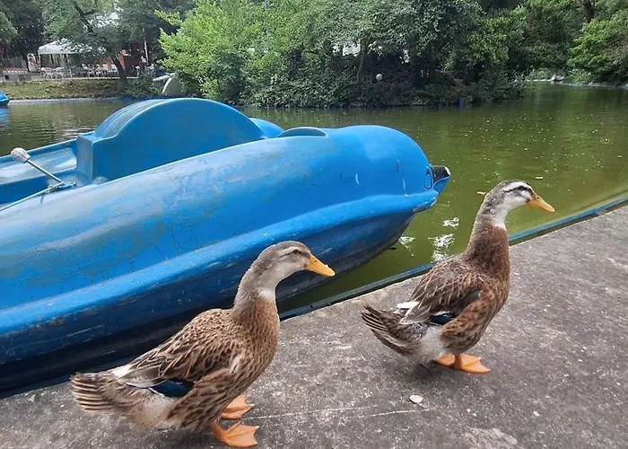 Location Harmony By Hostex Lejlighed